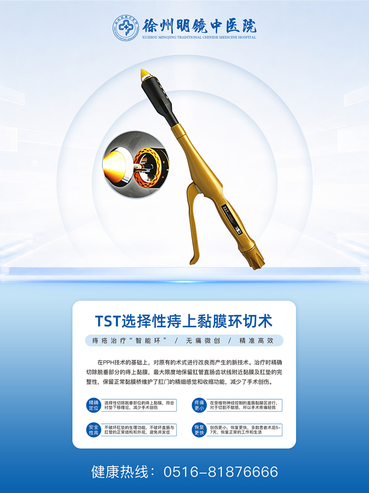 网站检查仪器TST.jpg